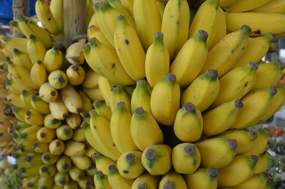 創新趨勢》吃蕉救蕉農？香蕉生產過剩為行銷帶來的４個啟示