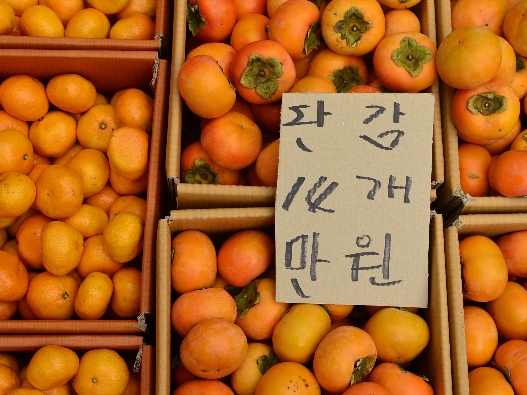 網購生鮮需求驟升，誰能成為韓國版「Amazon Fresh」？