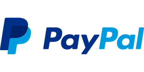沒有「他」也不會有現在的PayPal和特斯拉？！看矽谷天王彼得．提爾如何用超常思維開創科技界新藍海