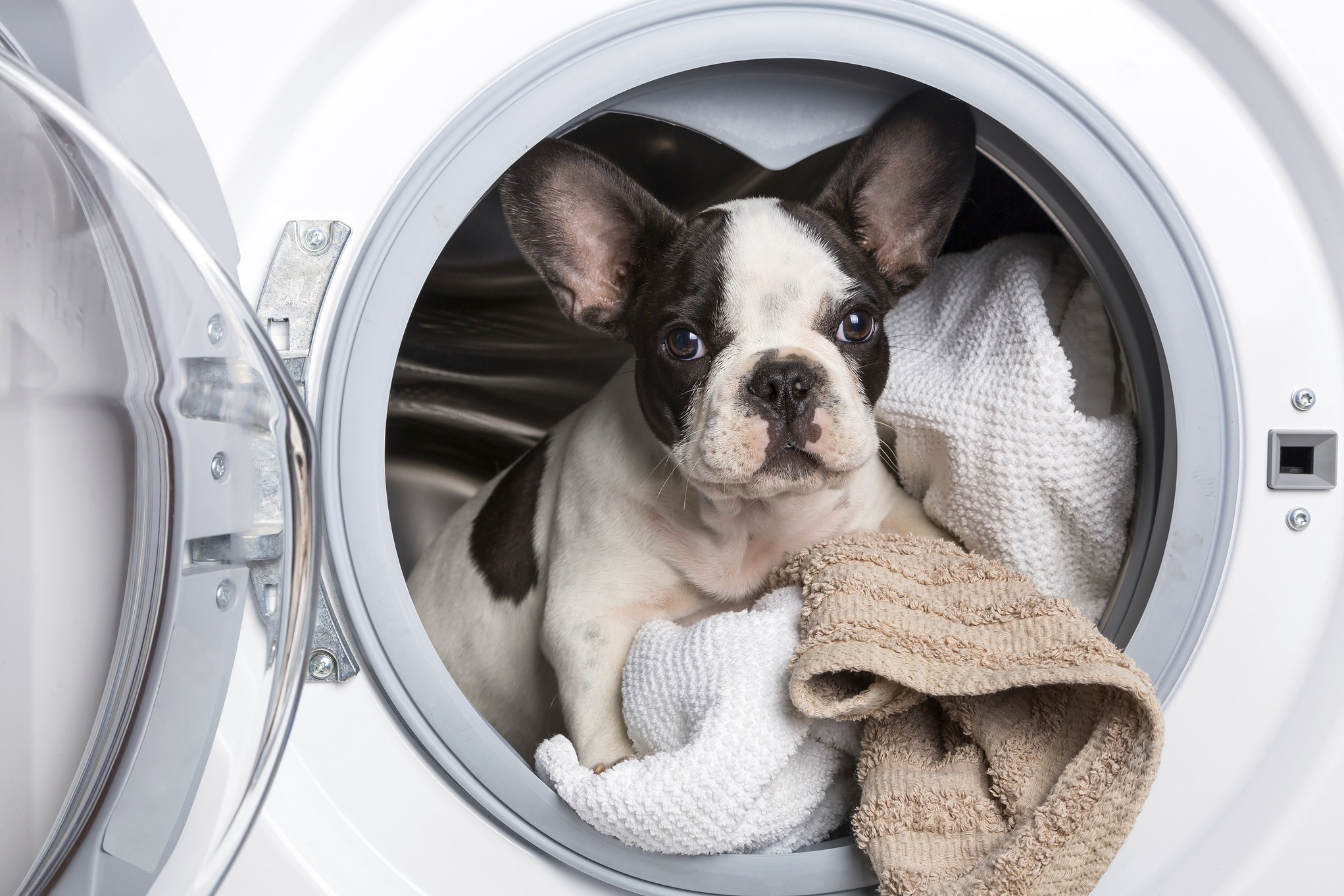 〈2015年9月〉台灣網路消費者對「洗衣機」購買行為與通路品牌分析-EAGLEEYE鷹眼數據